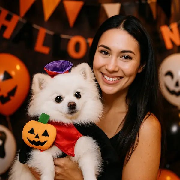 My Dog Deserves the Cutest Halloween Costume Ever! 🎃🐶 - Pet Store ED