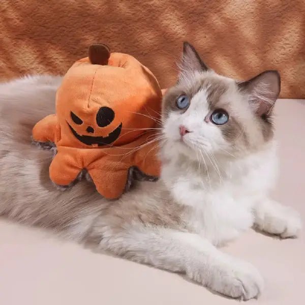 If He’s Happy and Safe, I Know I Chose the Right Toy - Pet Store ED