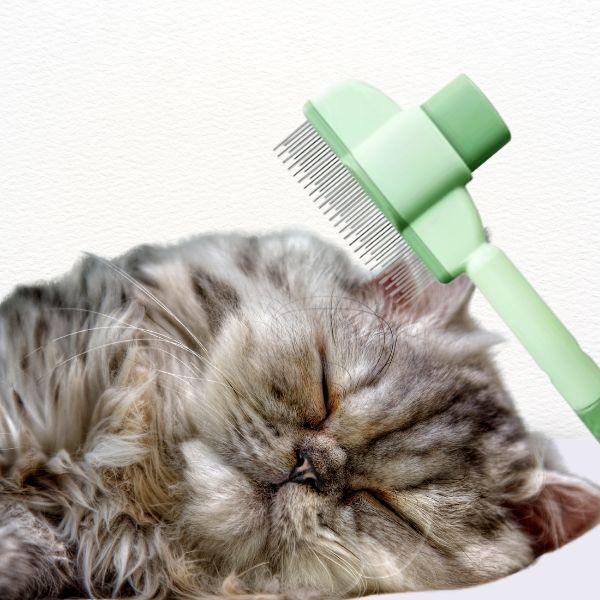 Professional grooming comb used gently on sleeping cat