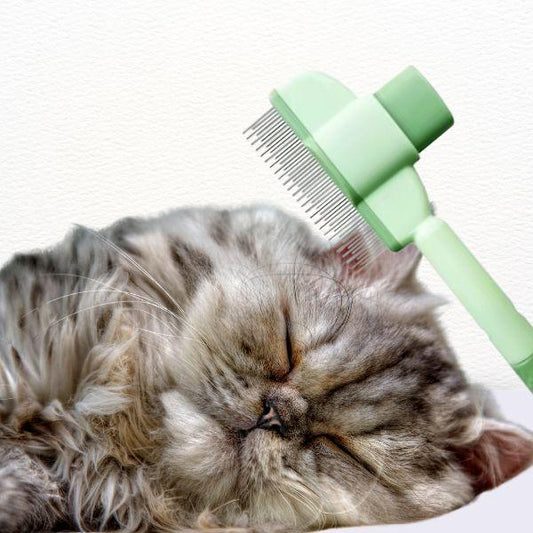 Professional grooming comb used gently on sleeping cat