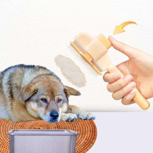 Professional pet grooming comb in action detangling shedding fur