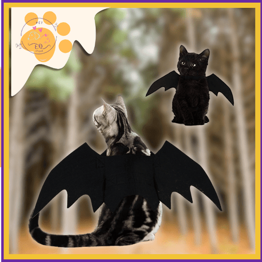 Cats wearing bat wings costume in forest, Halloween pet outfit promotional image