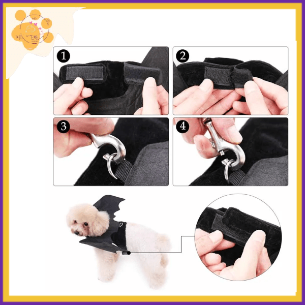 Step-by-step bat wings leash hook instructions for small dog costume harness.