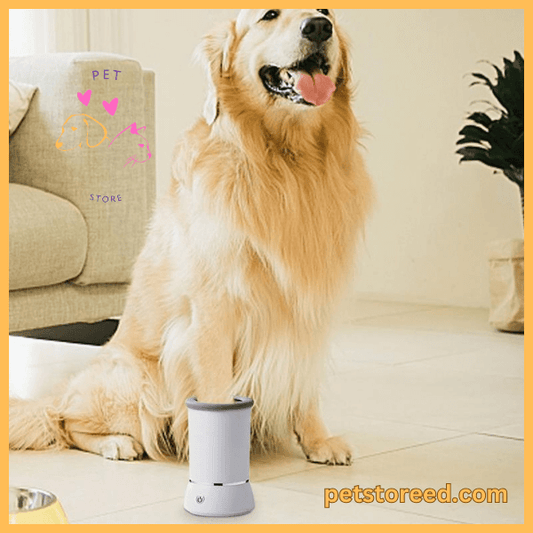 Portable and gentle CleanPaws paw cleaner, perfect for big dog breeds indoors