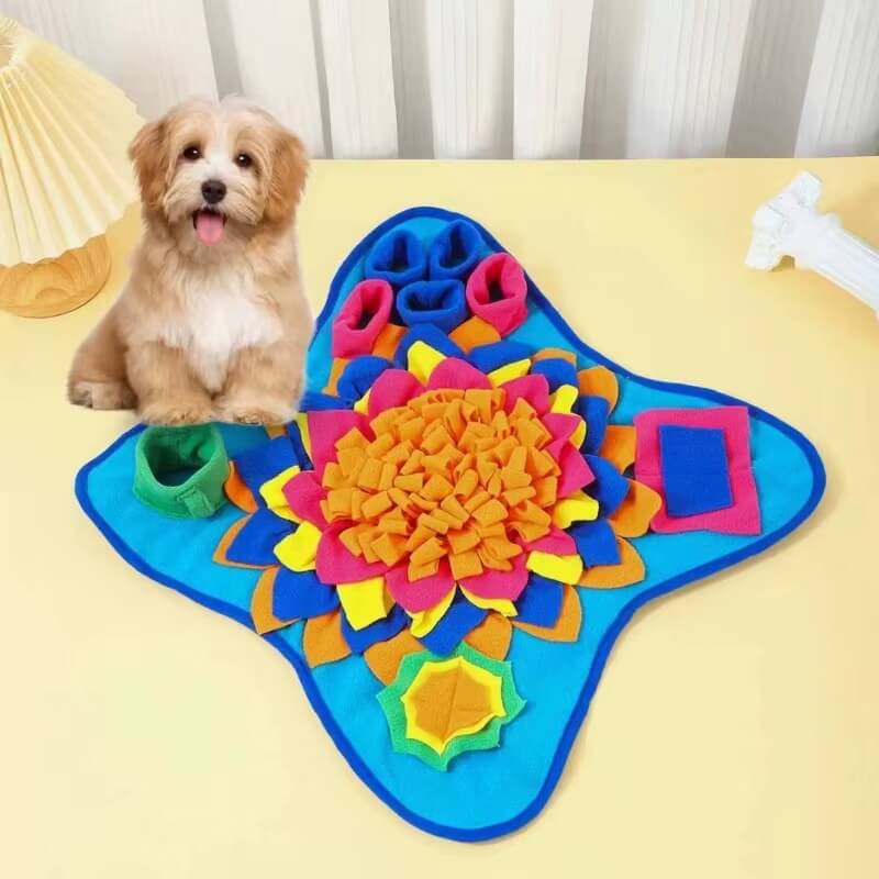 Small dog next to enrichment snuffle mat in vibrant blue and yellow