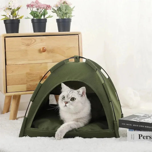 Gray cat lounging in green pet tent by wooden nightstand and potted flowers indoors