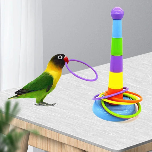 Parrot playing ring toss game with colorful stacking rings on a white table indoors