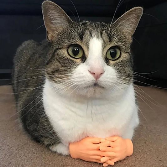 Turn Your Cat Into a Tiny Human With This Hilarious Halloween Glove - Pet Store ED