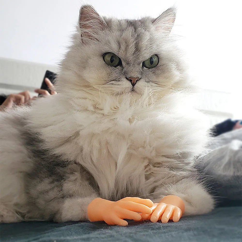 Turn Your Cat Into a Tiny Human With This Hilarious Halloween Glove - Pet Store ED
