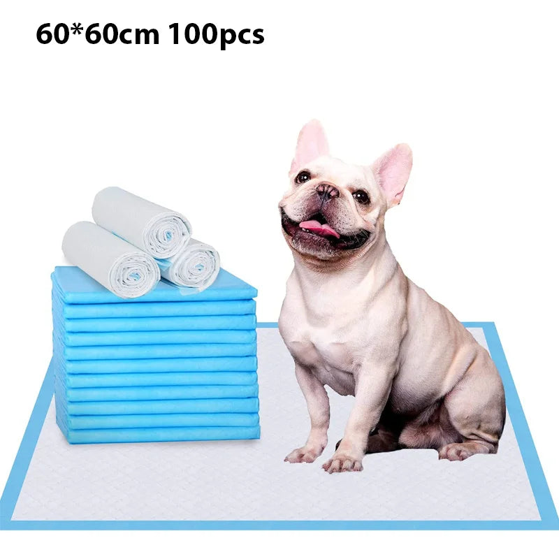 EcoPeePad training pads from Pet Store ED featured with a bulldog and a visible quantity of 100 high-absorption units.
