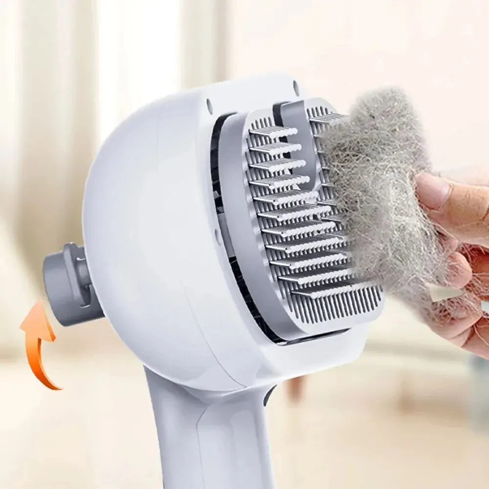 SplashBrush: Shedding Relief with a Splash for Cats & Dog