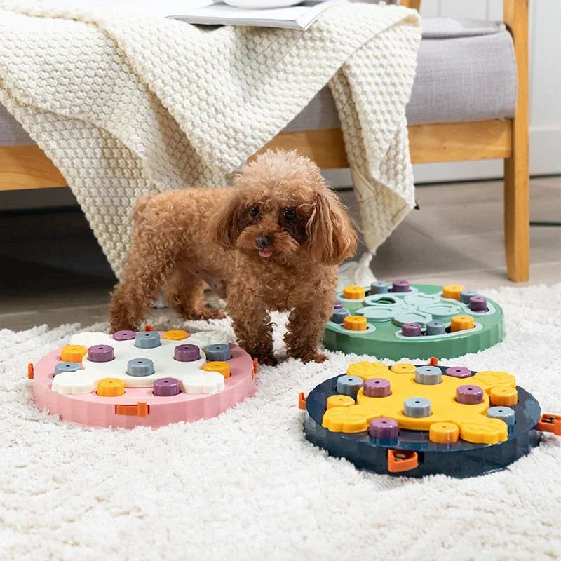 Small poodle with PuzzleFeast interactive slow feeder on carpet