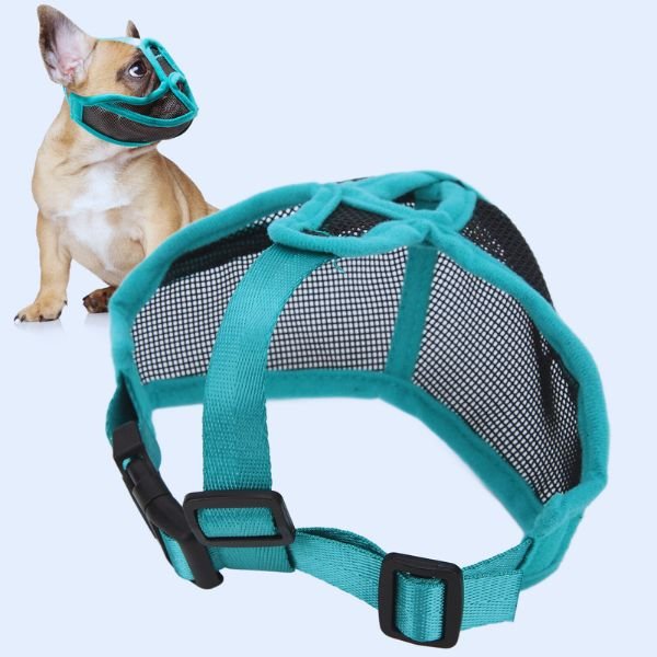 Muzzle and Frenchie showing rear and side view fit – Pet Store ED