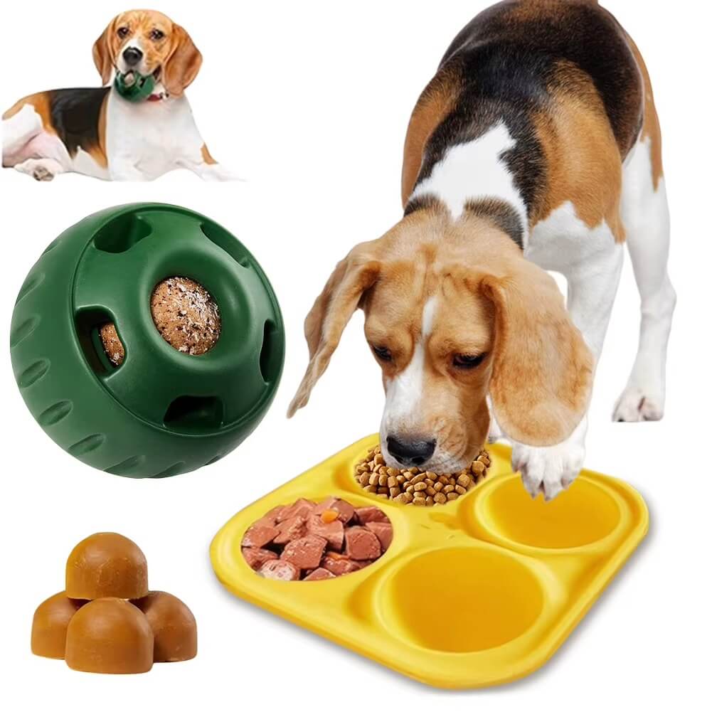 Enrichment set promoting healthy digestion and fun
