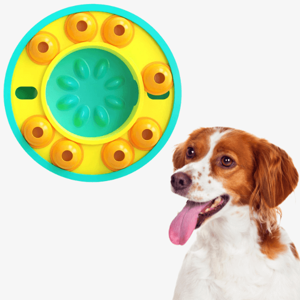 Dog with tongue out and puzzle feeder bowl
