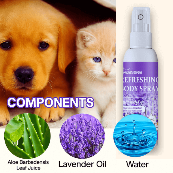 Close-up of puppy and kitten with product ingredients: aloe, lavender oil, and water from Pet Store ED