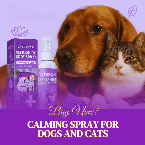 Pet Store ED calming formula displayed near resting animals