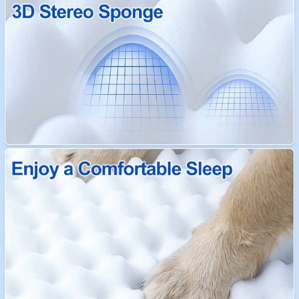 3D stereo sponge surface with pet paw resting for comfortable sleep