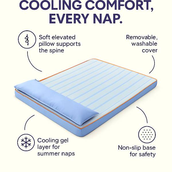 Soft elevated pillow and non-slip base ensure dog’s spinal support.