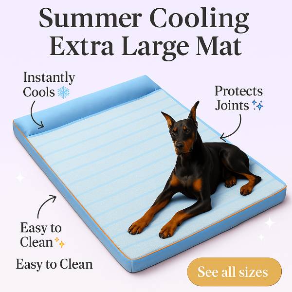 Blue cooling pet bed XL size with benefits highlighted