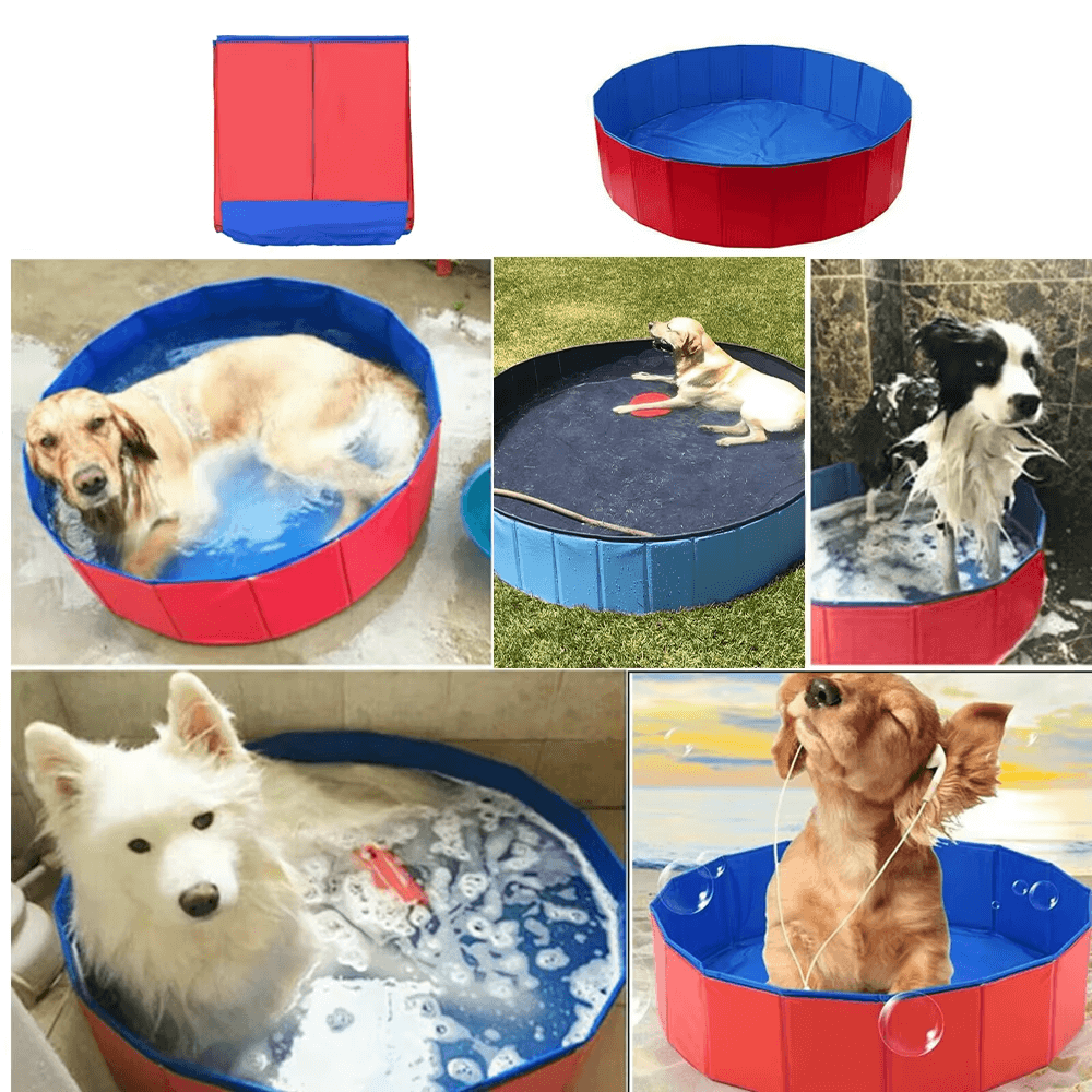 Red and blue pet pools for dogs of all sizes with summer relief benefits