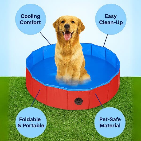Summer dog pool with pet-safe materials and foldable design