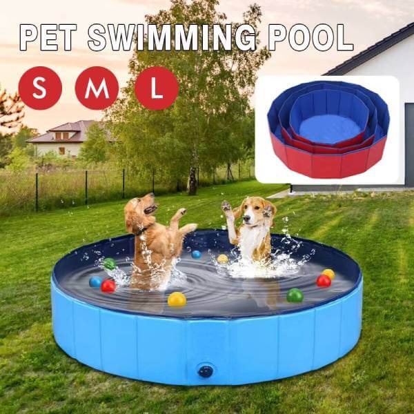 Large dog cooling pool with colorful balls