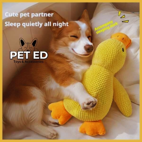 Kalmerend Honden Speeltje – The Best Calming Dog Toy"Stress" - Pet Store ED
