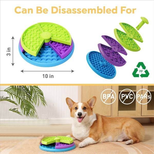 Corgi dog with a BPA-free slow feeder toy