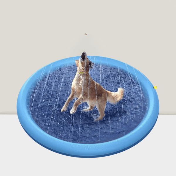 Dog leaping in the air inside a round sprinkler splash pad with water streams.