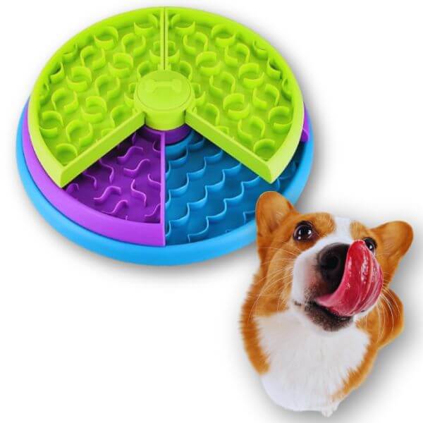 Colorful dog bowl with excited pet after meal