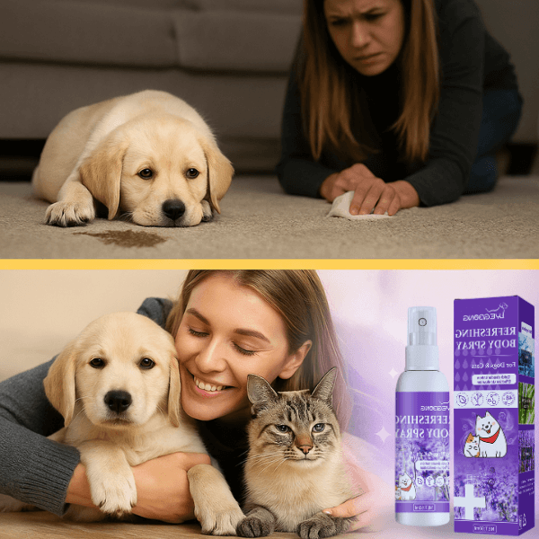 Pet Store ED product shown with sad puppy and stressed owner