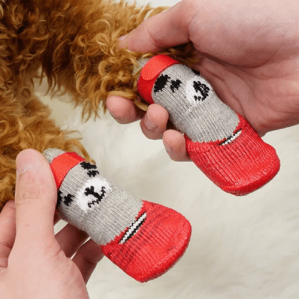 Tired of Cleaning Your Dog’s Wet & Dirty Paws? Try This! - Pet Store ED