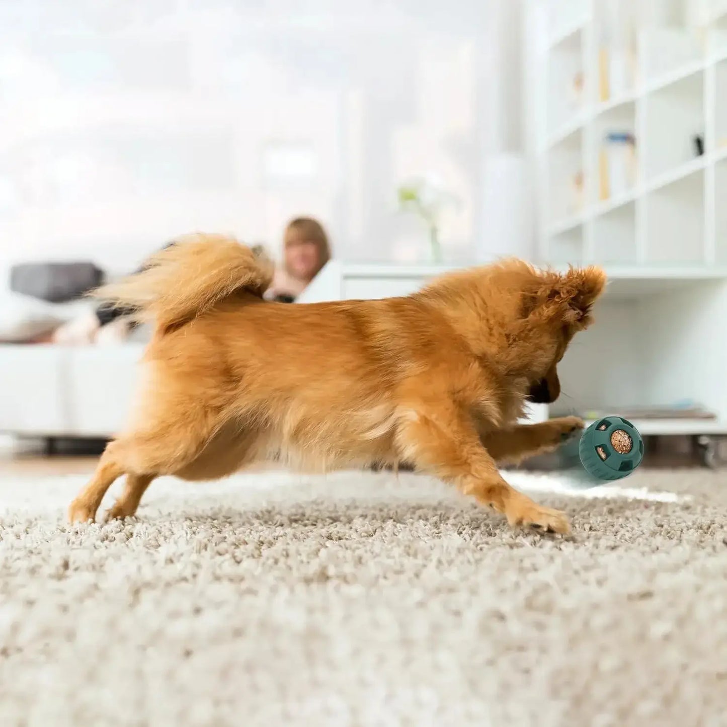 Treat-dispensing ball for dog training and fun