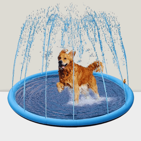 Dog mid-run with water spraying from all sides on a summer mat.