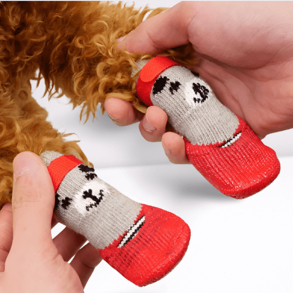 Tired of Cleaning Your Dog’s Wet & Dirty Paws? Try This! - Pet Store ED