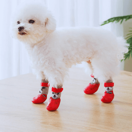 Waterproof dog shoes for hardwood floors and outdoor use – Pet Store ED