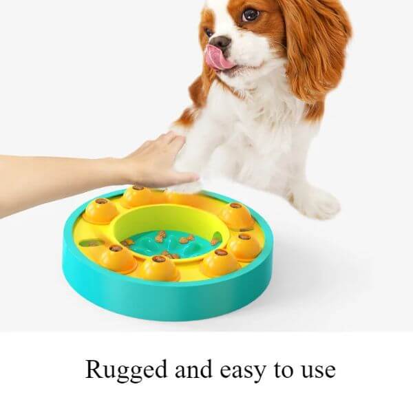 Human-pet interaction with enrichment feeder