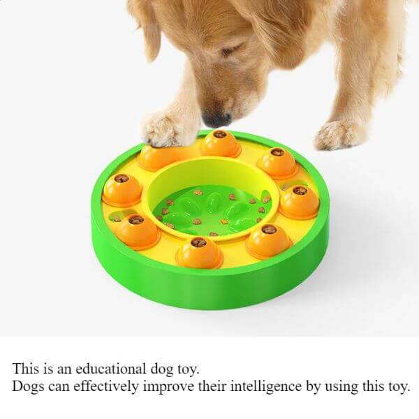 Interactive slow feeder toy promoting dog intelligence