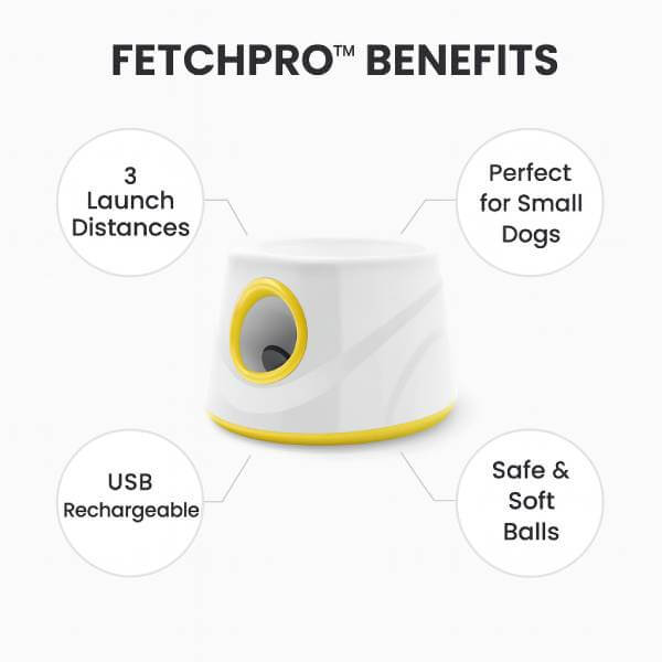 Pet Store ED dog fetch toy top features panel