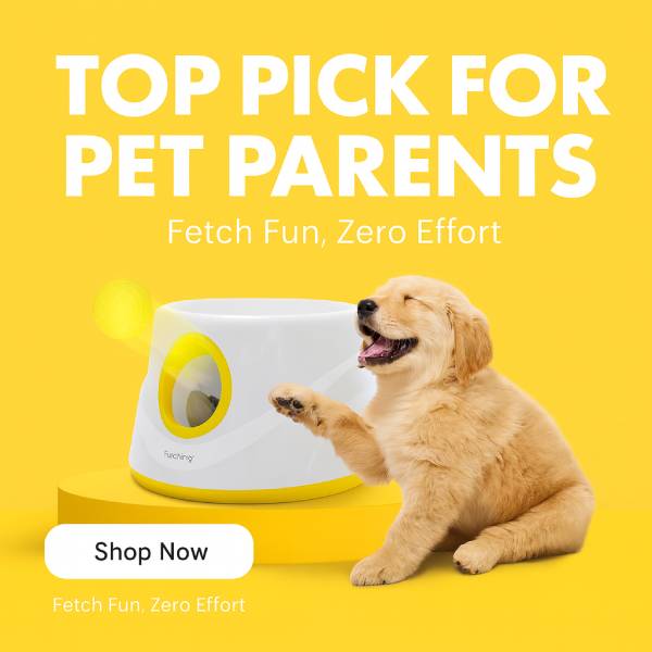 Dog fetch toy for puppies featured in Pet Store ED shop now ad