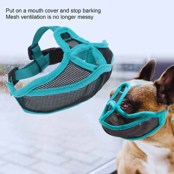 Pet Store ED muzzle for french bulldog muzzle with teal mesh finish
