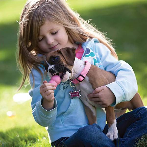 Puppy chewing KONG toy while being held by a child