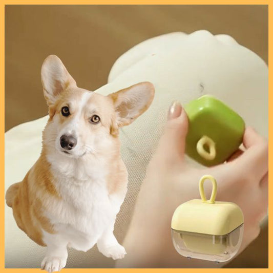 Cute Corgi with HaarRol reusable mini roller for quick cleaning