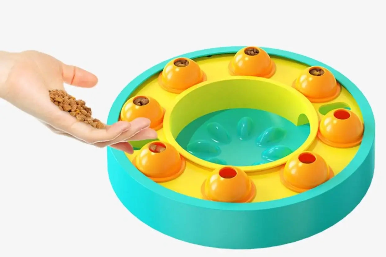 Puzzle bowl ready for smart dog feeding session