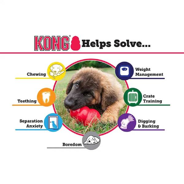 Visual guide of dog training problems KONG can fix
