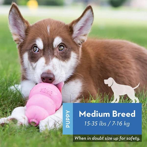 Natural rubber toy for medium-sized puppy stress relief