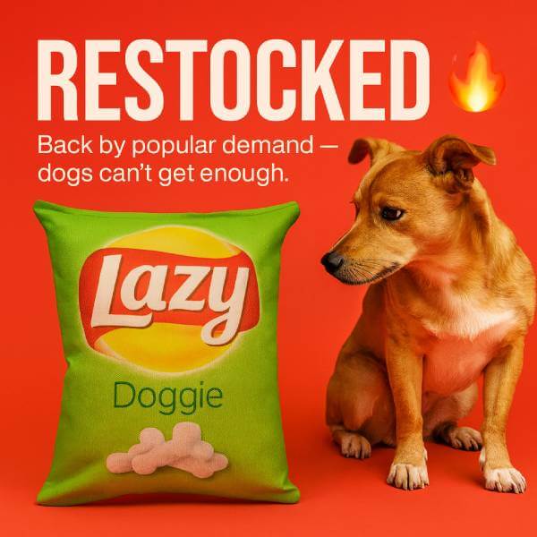 Restocked Lazy Doggie dog dental toy, interactive plush dog chew toy