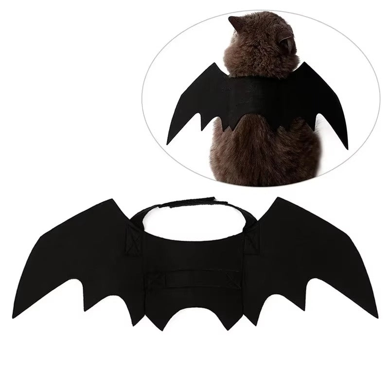 Tired of Pet Costumes That Hurt? Try This Soft Bat Wings! - Pet Store ED
