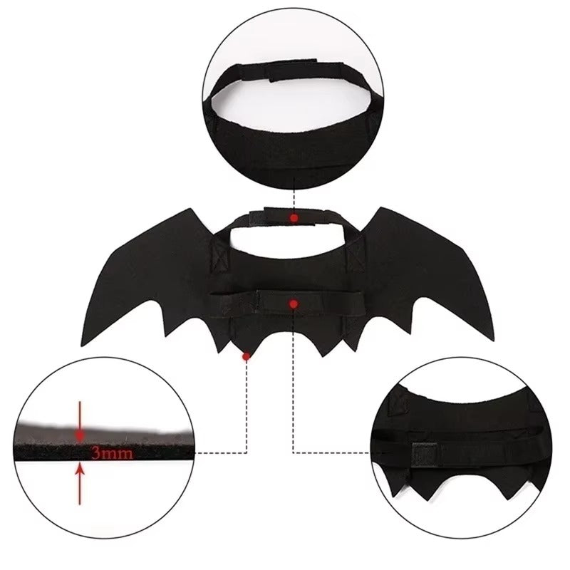 Tired of Pet Costumes That Hurt? Try This Soft Bat Wings! - Pet Store ED